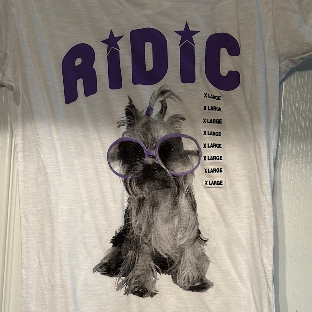 2/$10 Juniors XL Graphic Short Sleeve Tee NWT - Picture 2 of 4